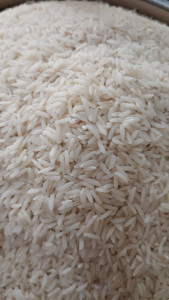 برنج هاشمی عطری درجه یک آستانه اشرفیه خوشپخت و معطر مناسب مجالس
